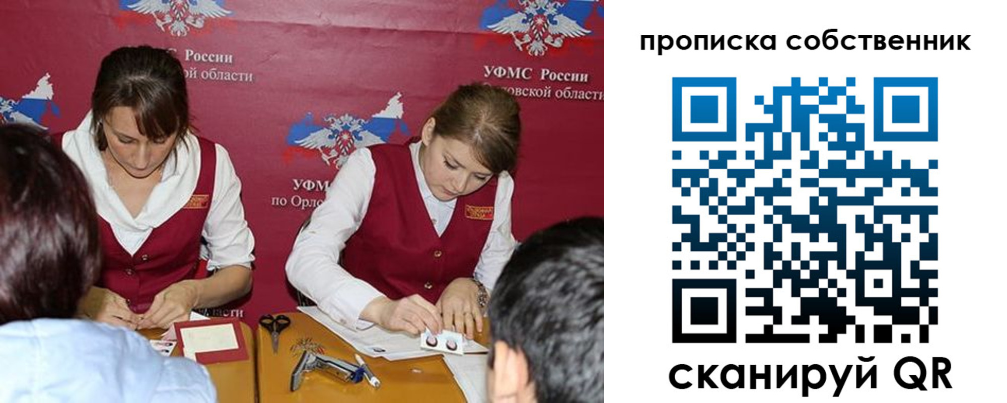 прописка поиск в Кингисеппе